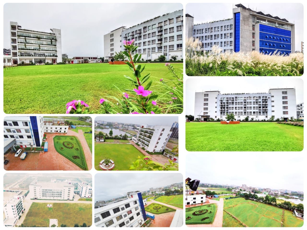 Collage of the Cotton Field campus and gardens